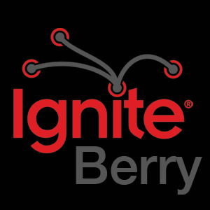 Ignite Berry logo